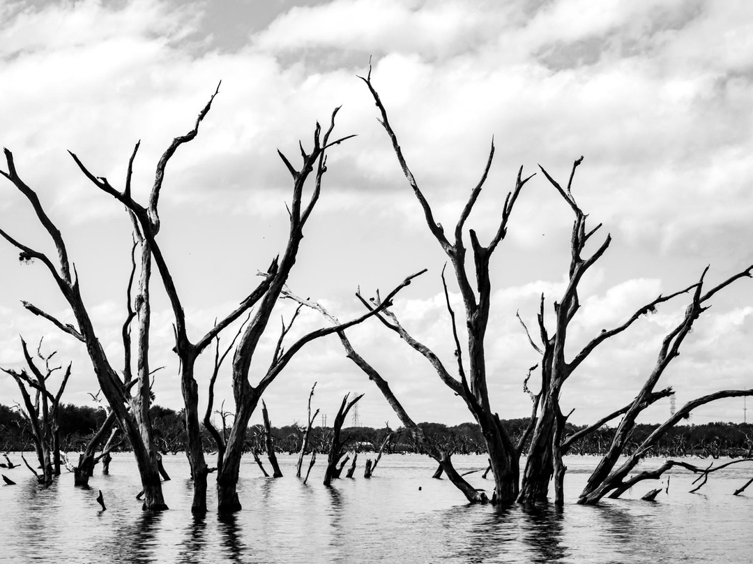Coleto Creek Park & Reservoir-维多利亚必去景点