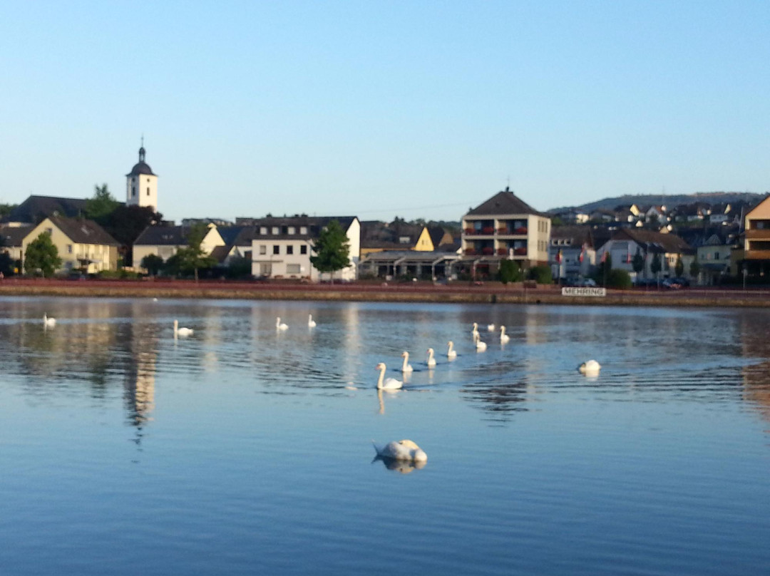 Hotel Zum Fahrturm主图