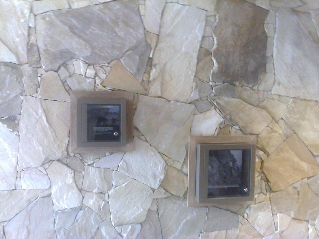 Great Ocean Road Story-洛恩必去景点