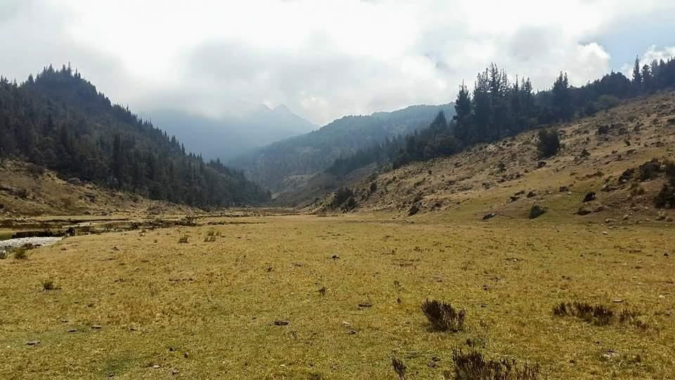 Laguna Victoria景点图片