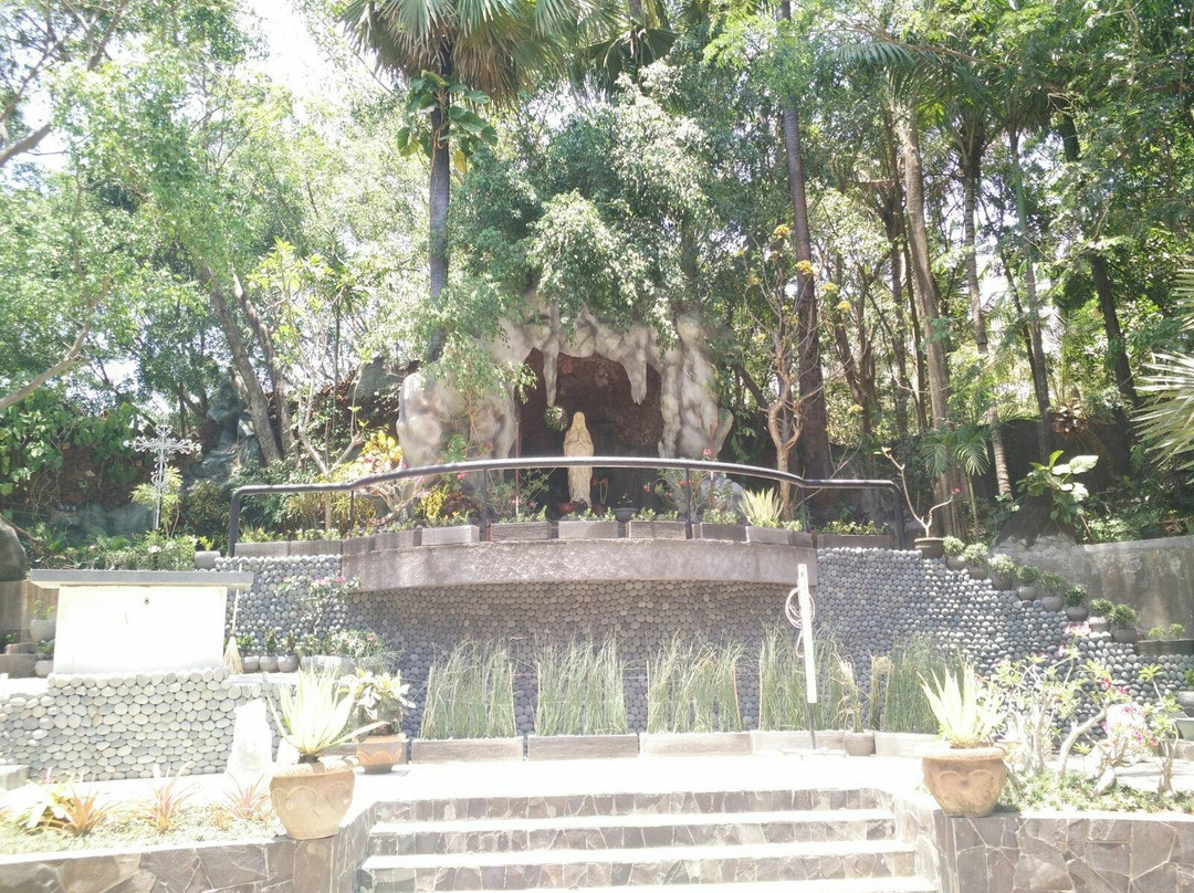 Camplong Natural Park景点图片
