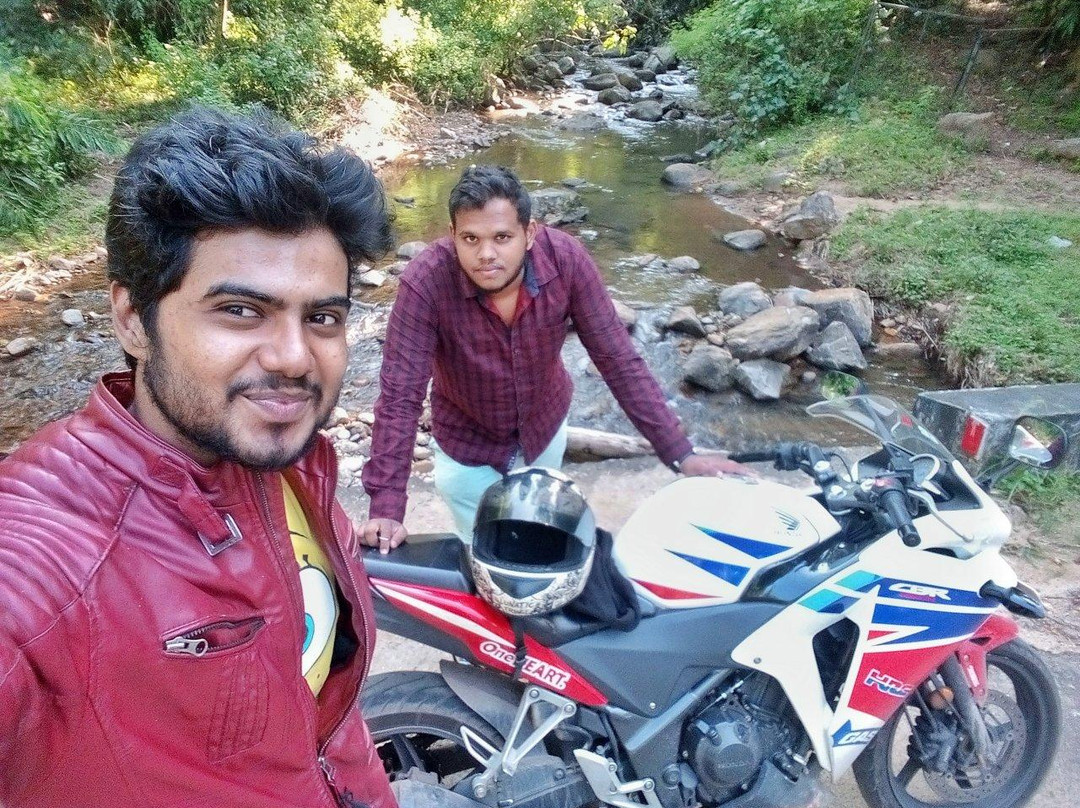 Kumbhavurutty Waterfalls景点图片