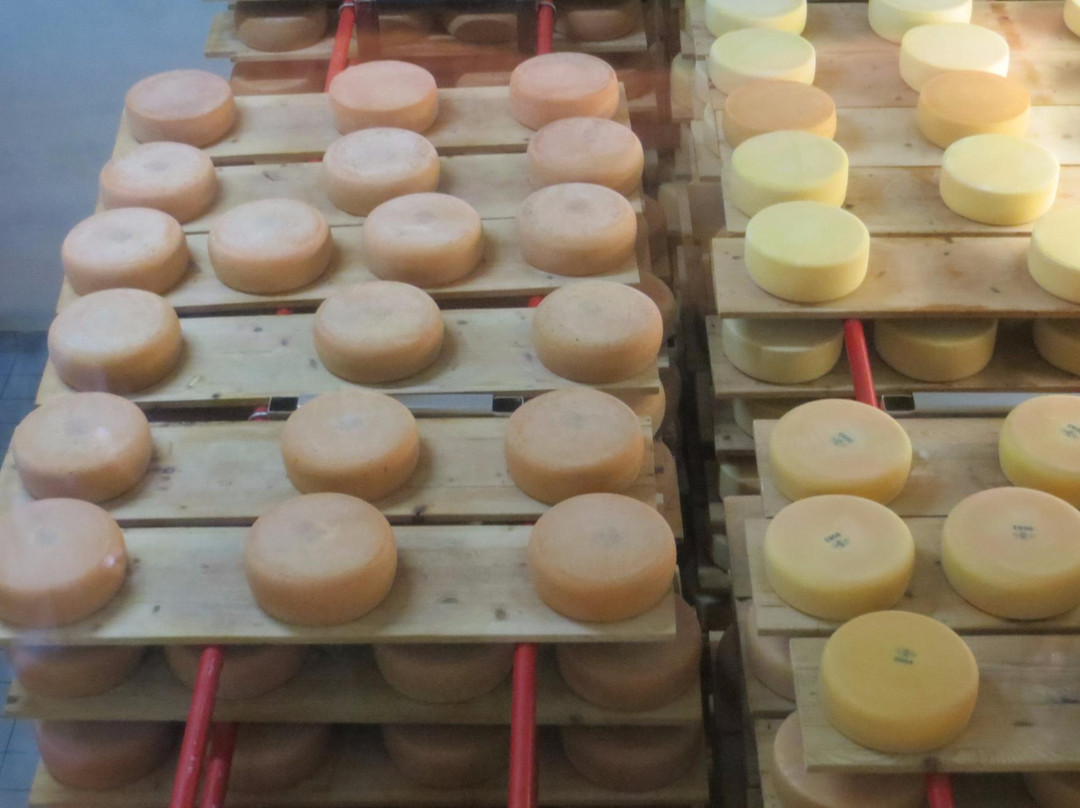 Eschenlohe餐馆和美食-Schaukäserei Ammergauer Alpen