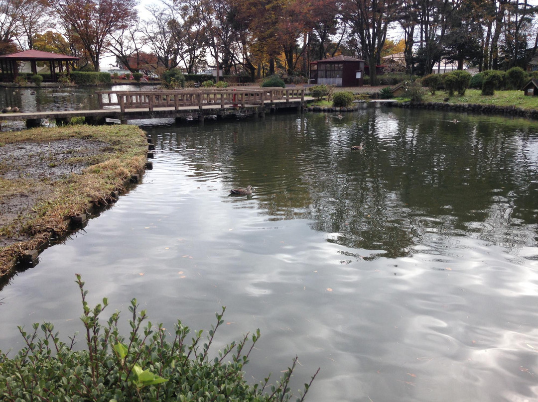 Karasugamori park-那须盐原市必去景点