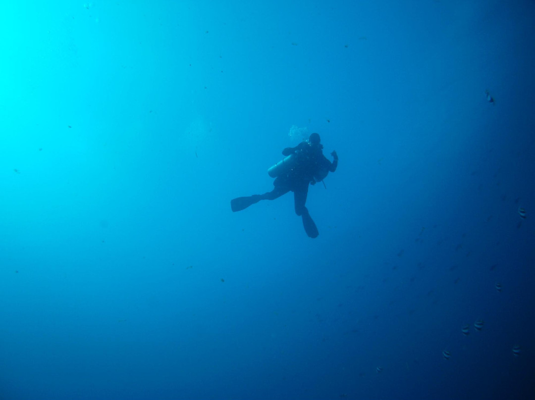 Kauai Rebreather and Technical景点图片