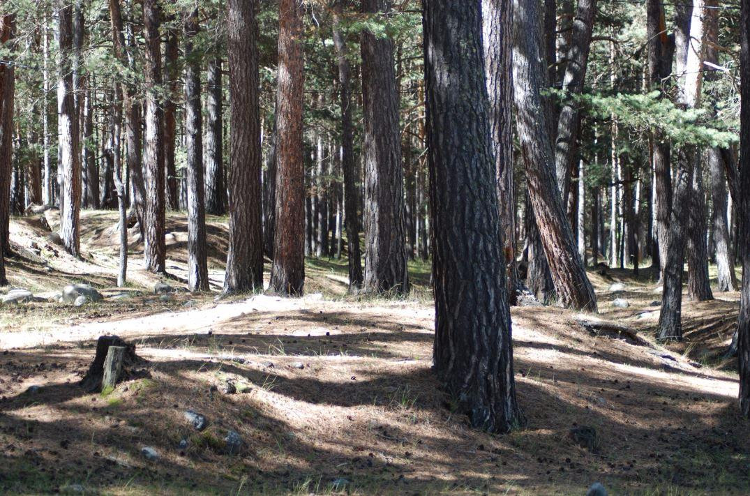 Elbrus Holiday Village Hotel主图