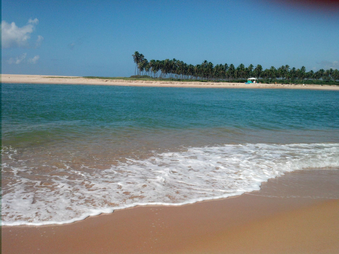 Barra Do Jacuipe Beach景点图片