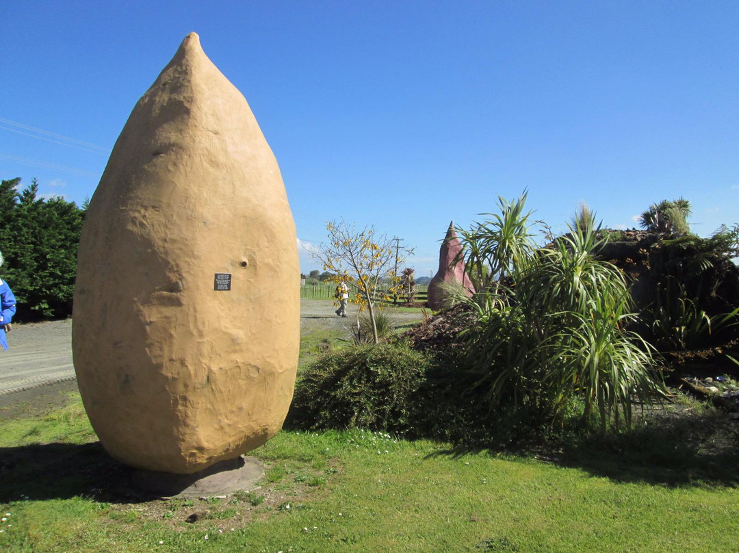The Kumara Box景点图片