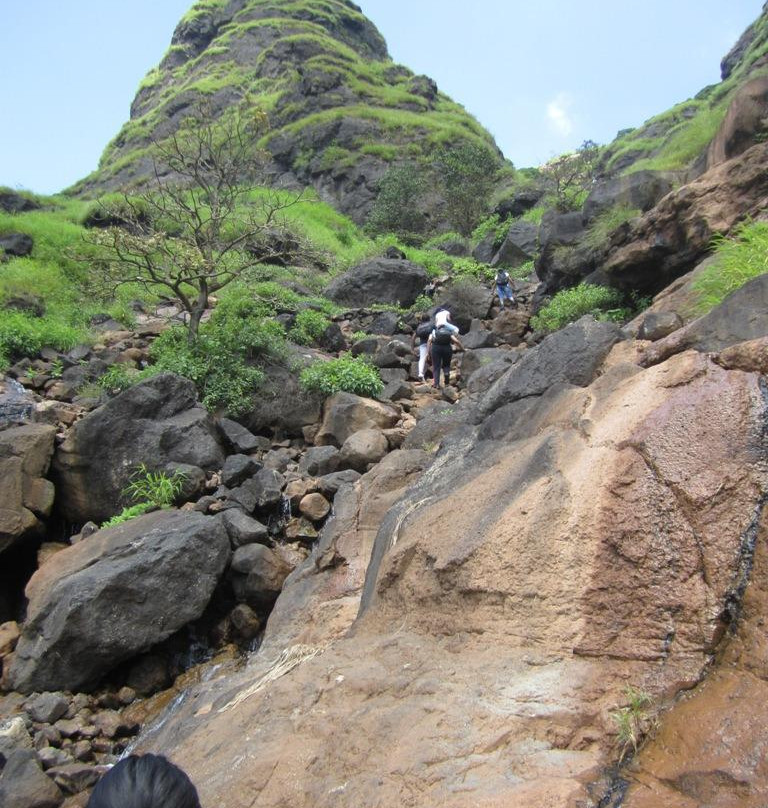 One Tree Hill Point景点图片