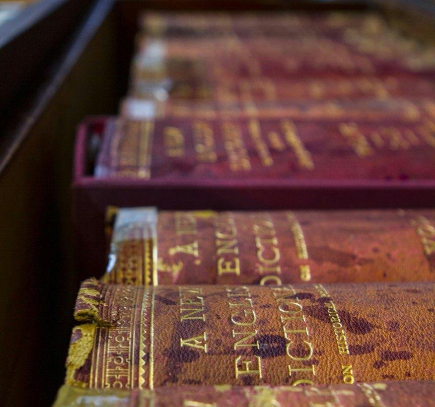 The English Library Tenerife景点图片
