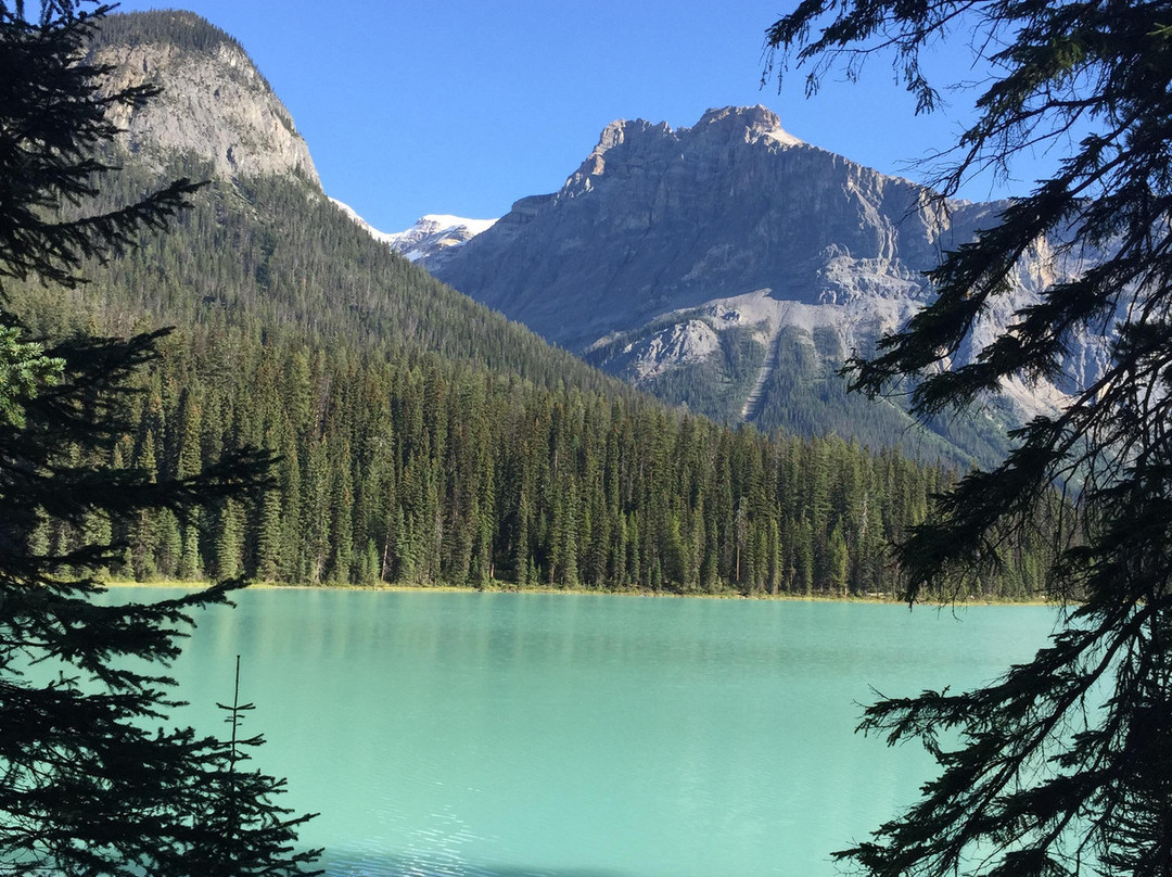 Yoho National Park景点图片