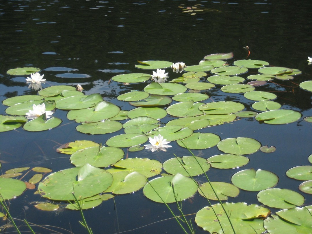 Schwarzer See-闹达斯必去景点