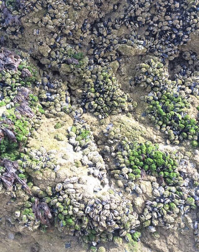 Gwithian Beach-Hayle必去景点
