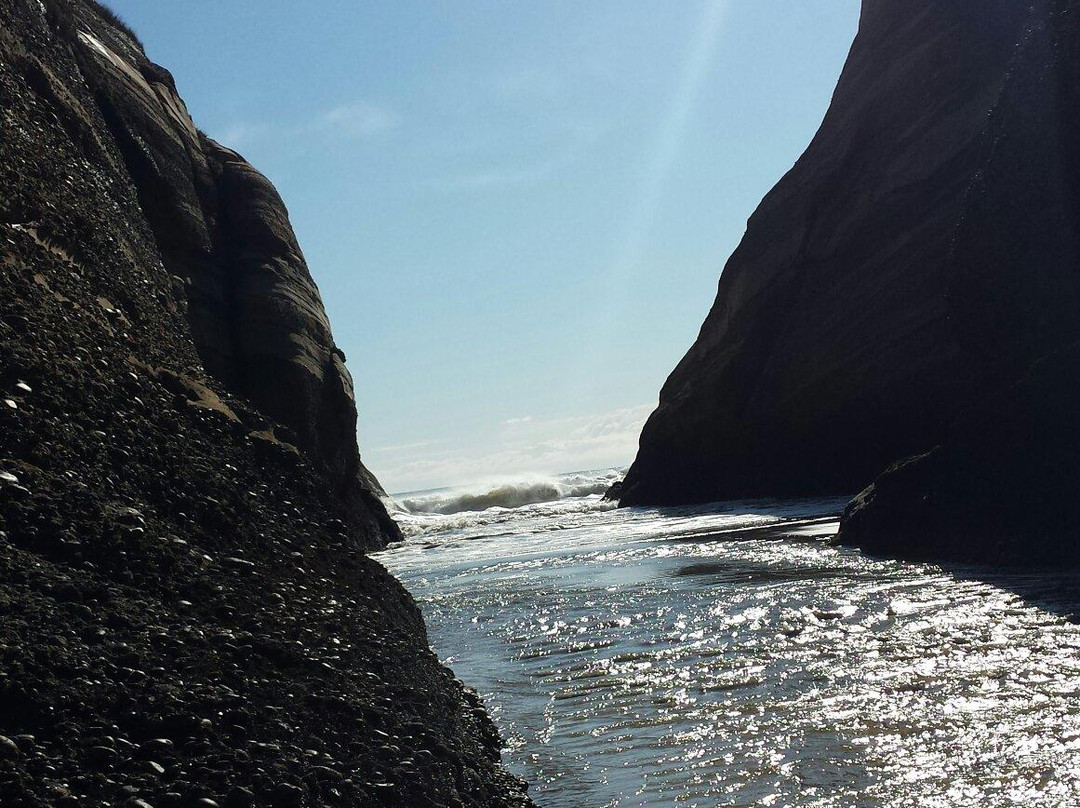 Wharariki Beach Walking Track景点图片