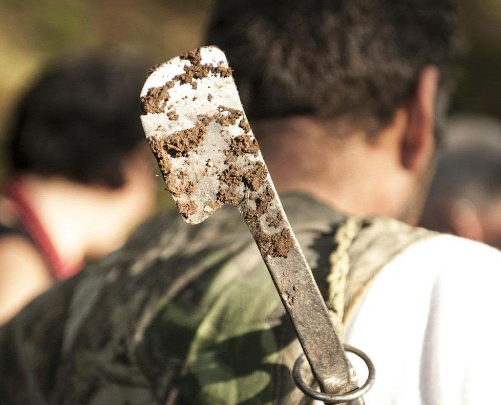 Toscana Tartufi - Truffle Hunting-圣米尼亚托必去景点