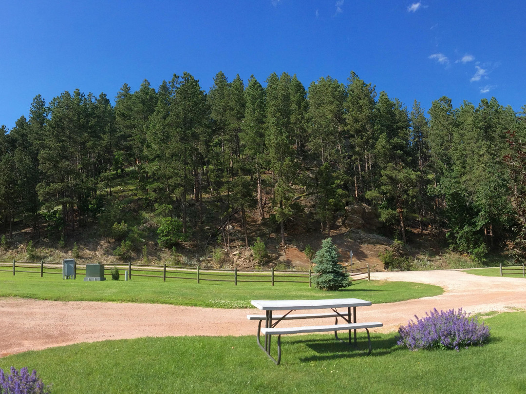 American Pines Cabins