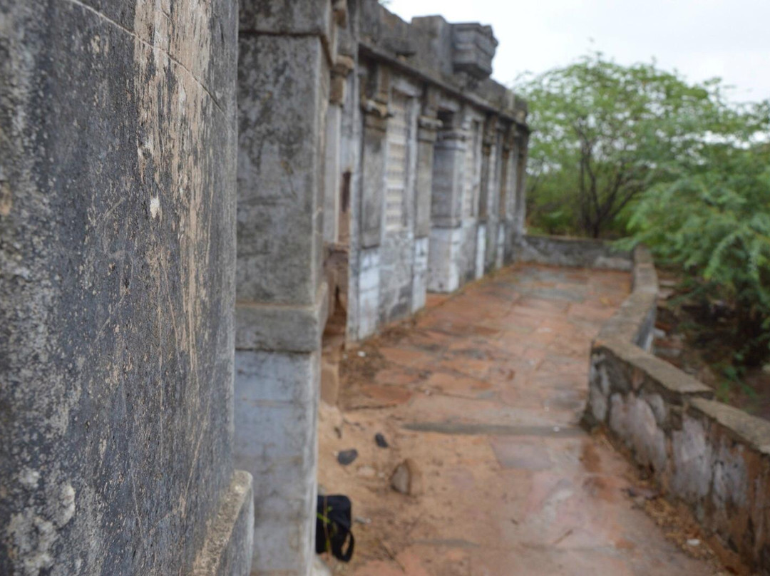 Tapkeshwari Temple景点图片