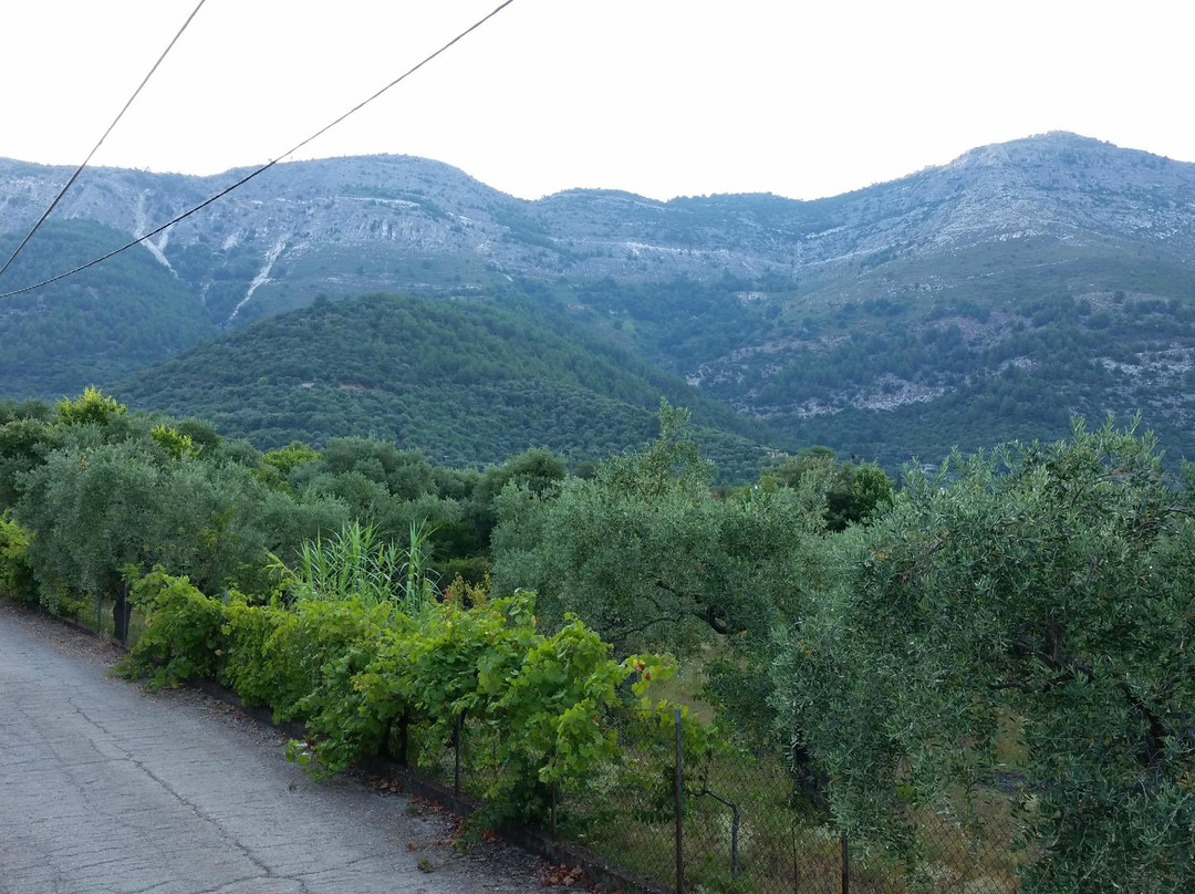 Sarimpalas Rooms主图