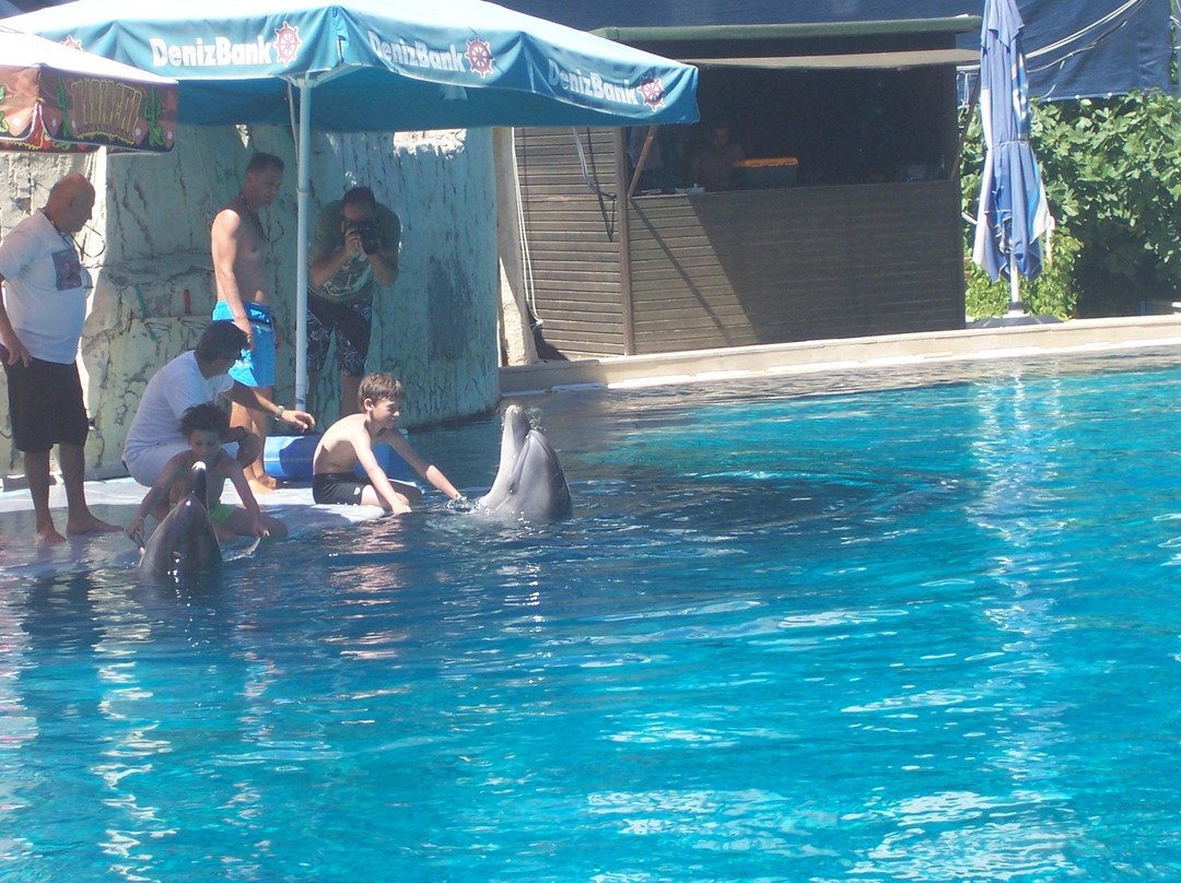 Kemer Dolfin Park-凯梅尔必去景点