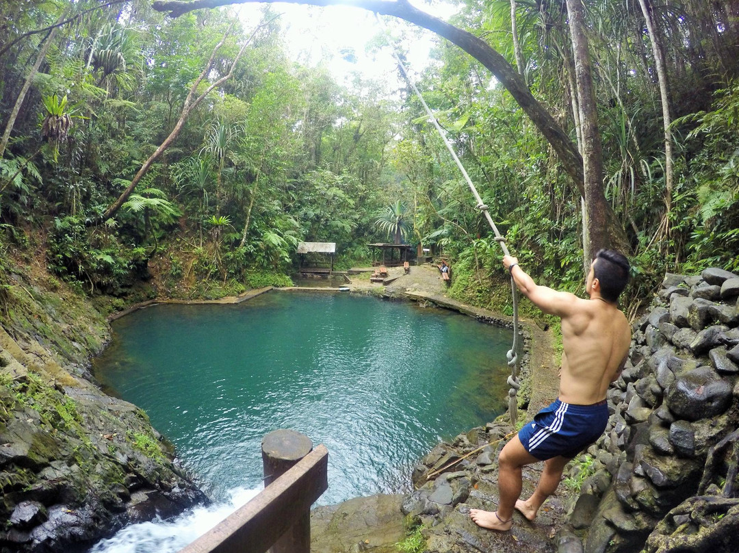 Colo-I-Suva Forest Park景点图片