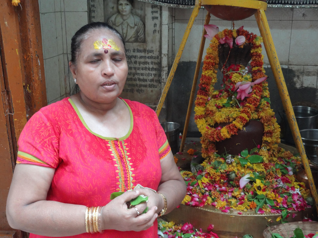 Gopishvar Mahadev Temple景点图片