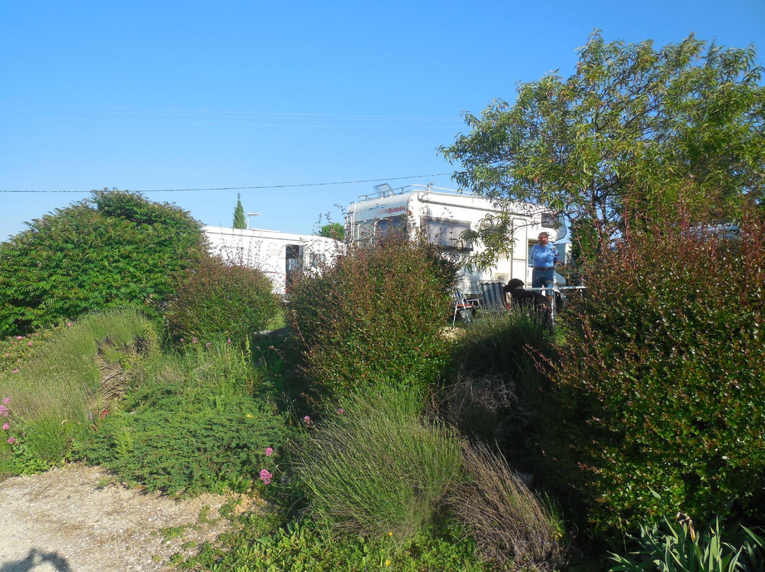 Chateau du Haut Pezaud景点图片