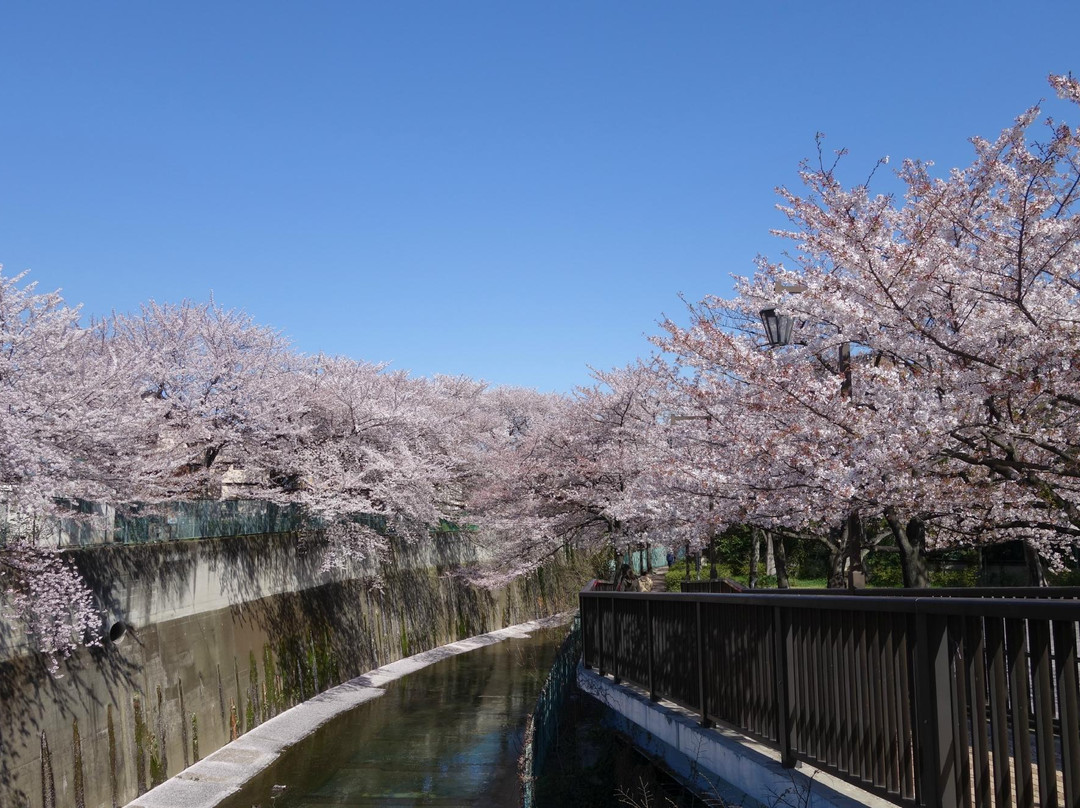 Shakuji River Green Road-板桥区必去景点