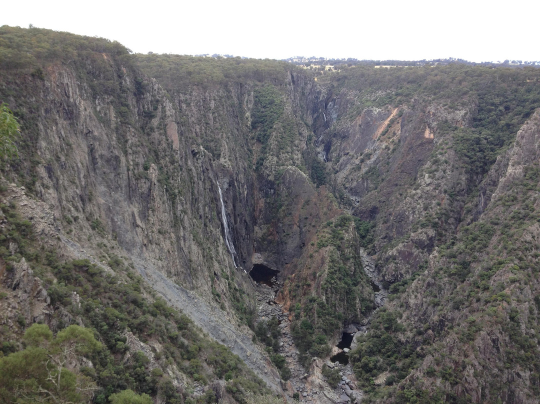 Wollomombi Falls景点图片