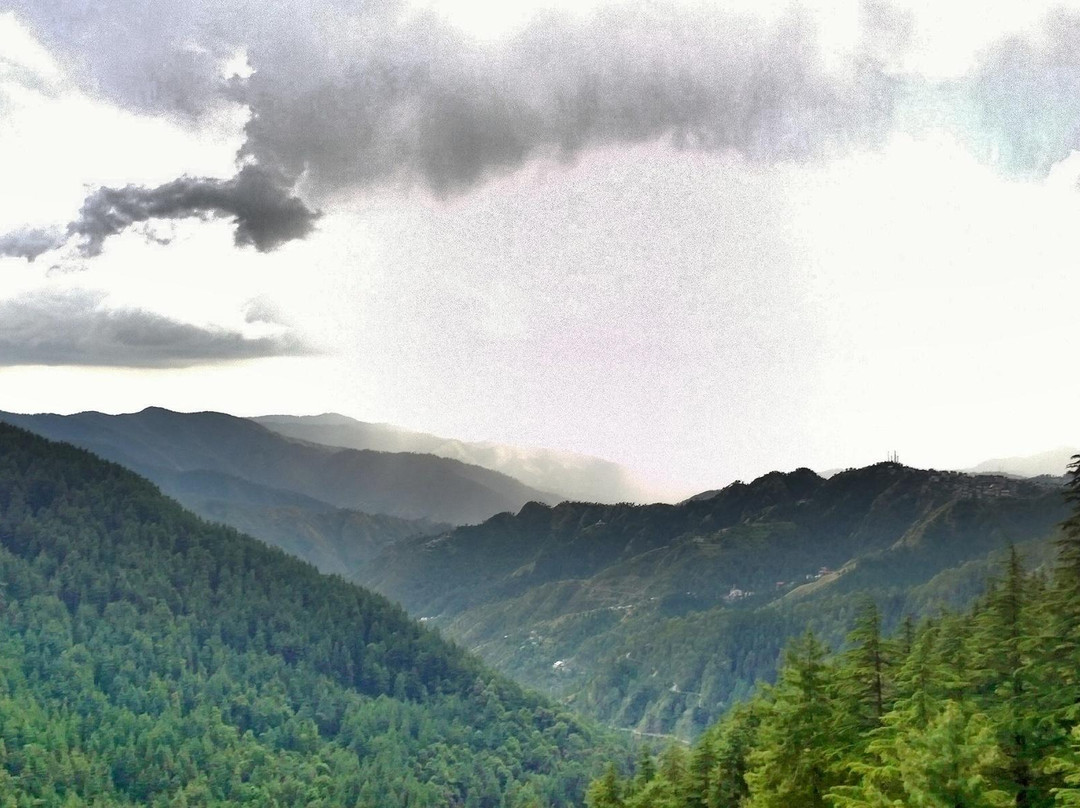 Shimla Water Catchment Wildlife Sanctuary景点图片