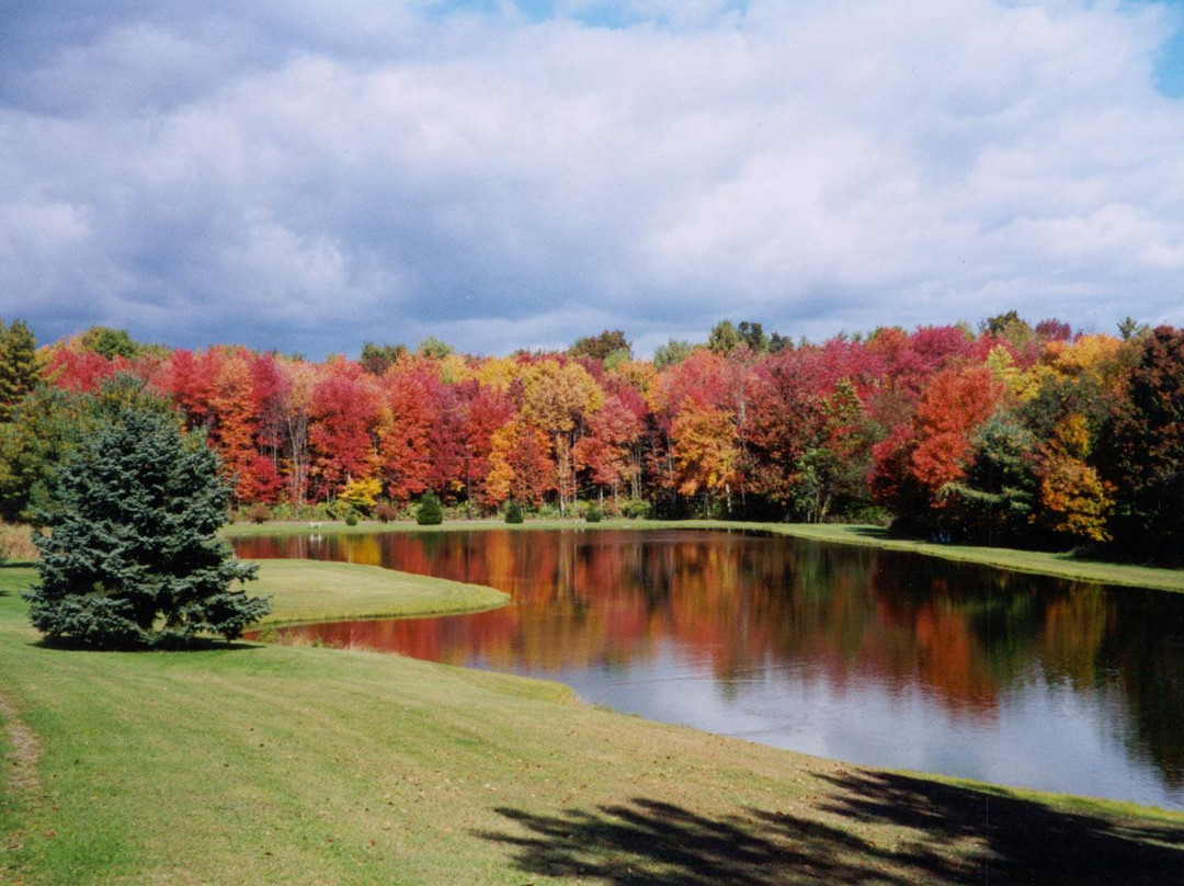 Whispering Pines Camping Estates