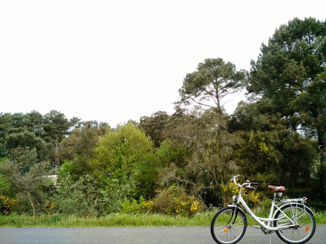 Cyclescapade-Labenne必去景点