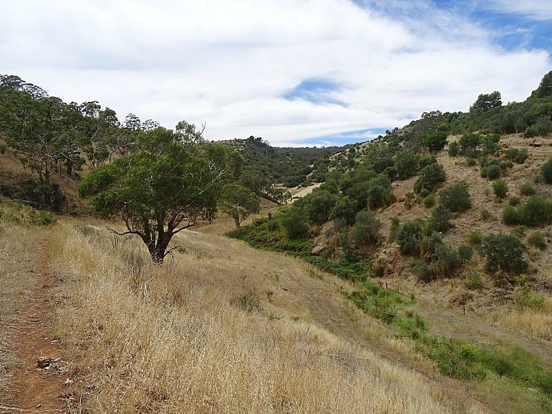 Brownhill Creek Recreation Park景点图片