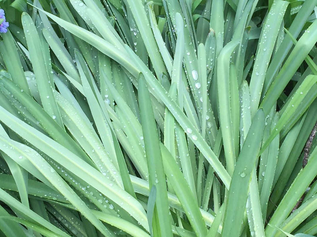 Aullwood Garden MetroPark-Englewood必去景点