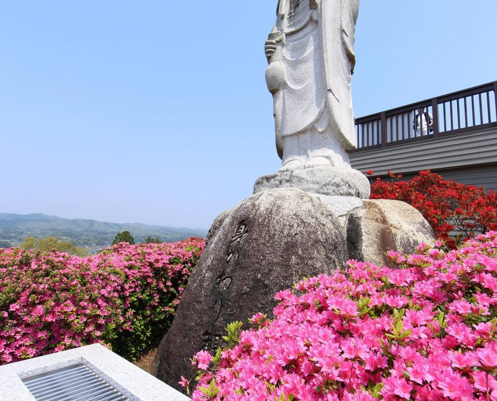 Kasama Azalea Matsuri-笠间市必去景点