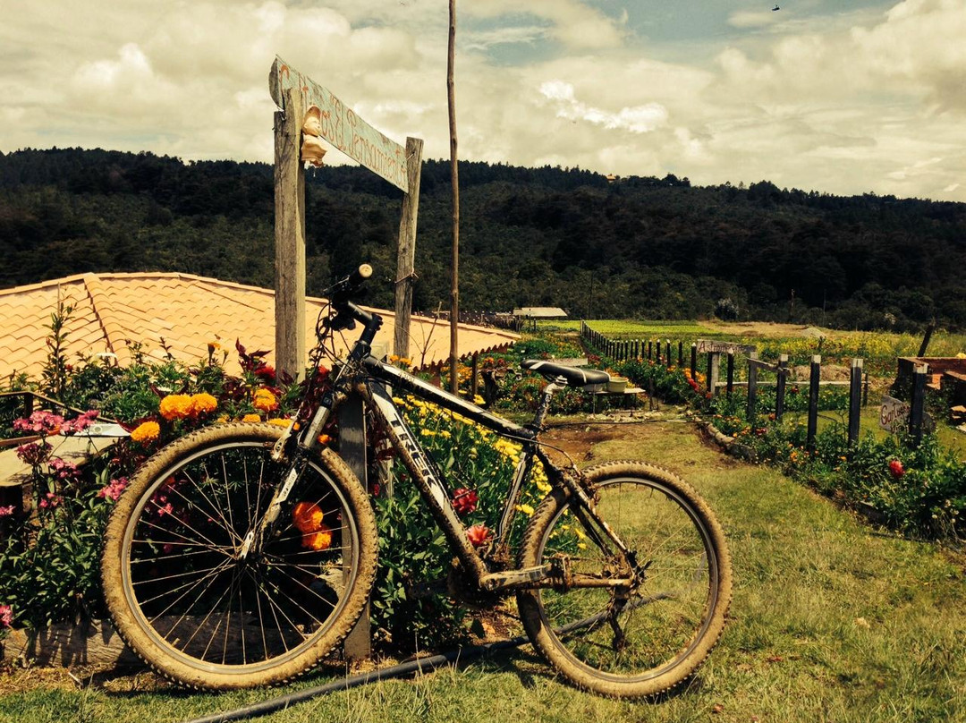Barranquero Cicloturismo-麦德林必去景点