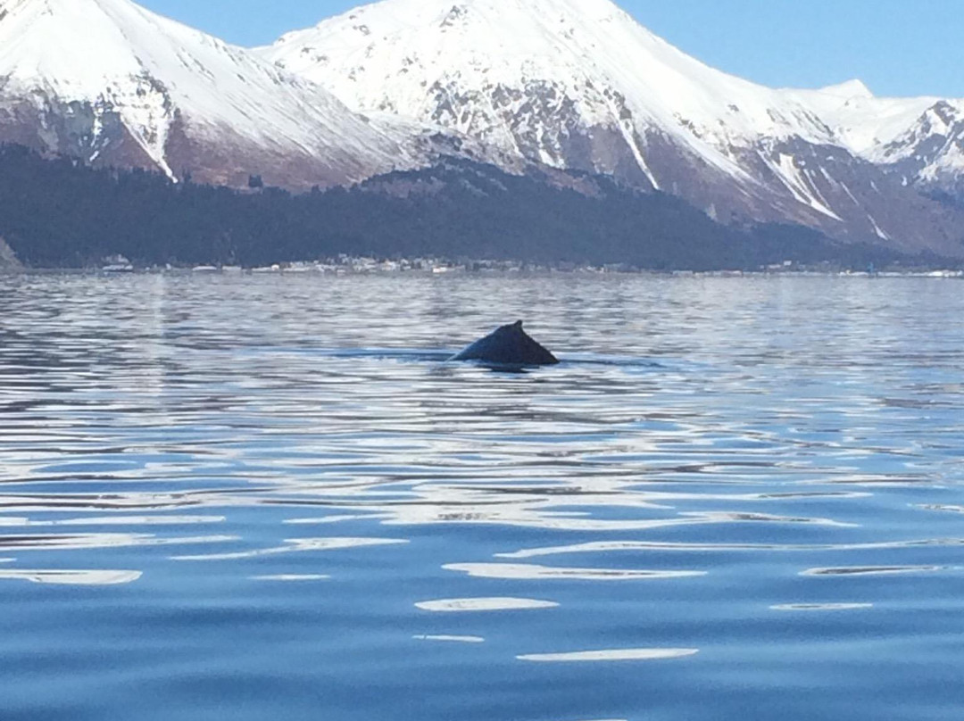 Northern Latitude Adventures-苏厄德必去景点