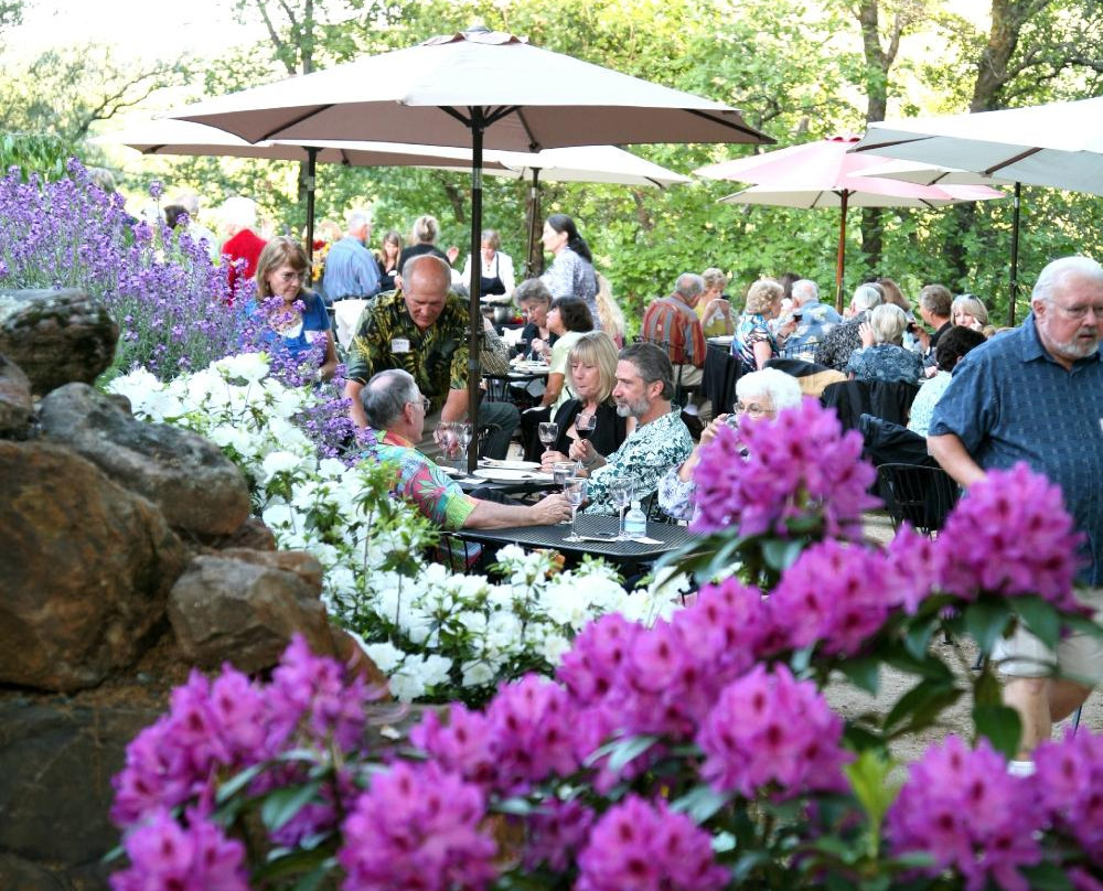 Pilot Peak Vineyard & Winery-Penn Valley必去景点