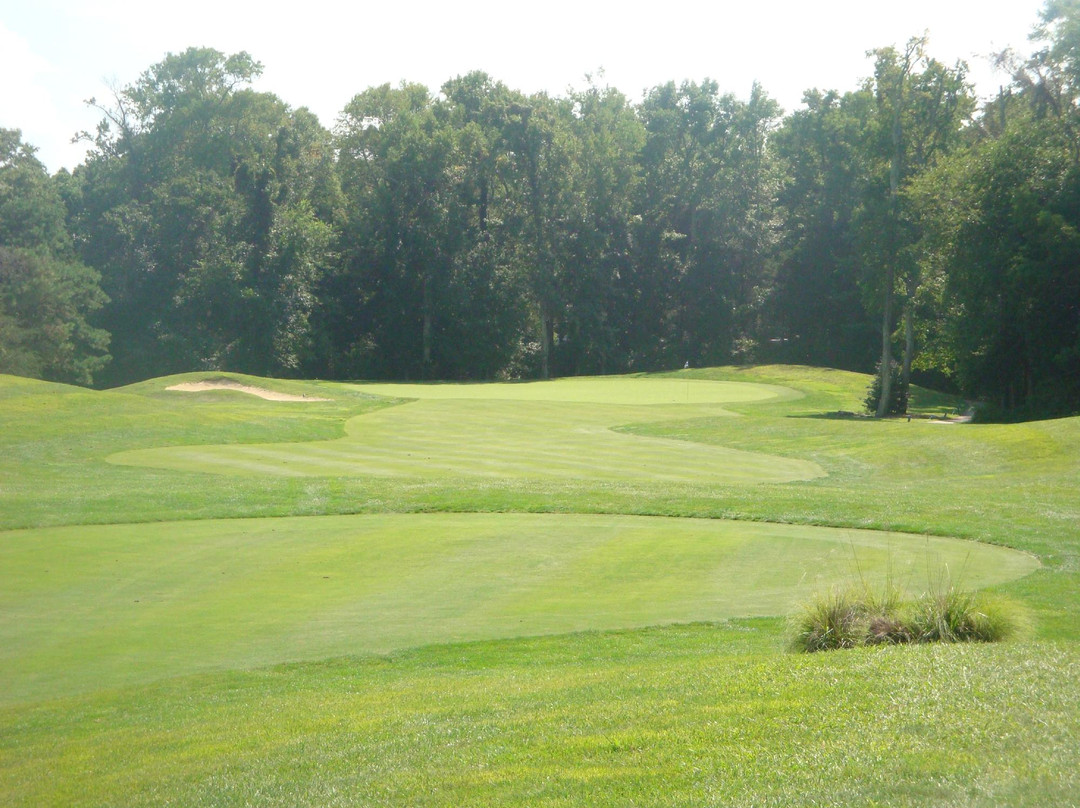 Cape May National Golf Club景点图片