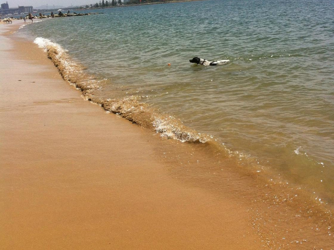 Horseshoe Beach-纽卡斯尔必去景点