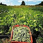 Tully's Way Farm-Puslinch必去景点