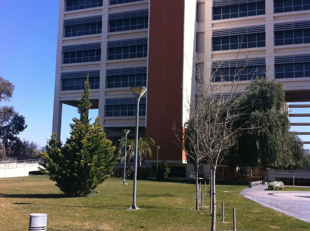 Nuevo Hotel San Francisco主图