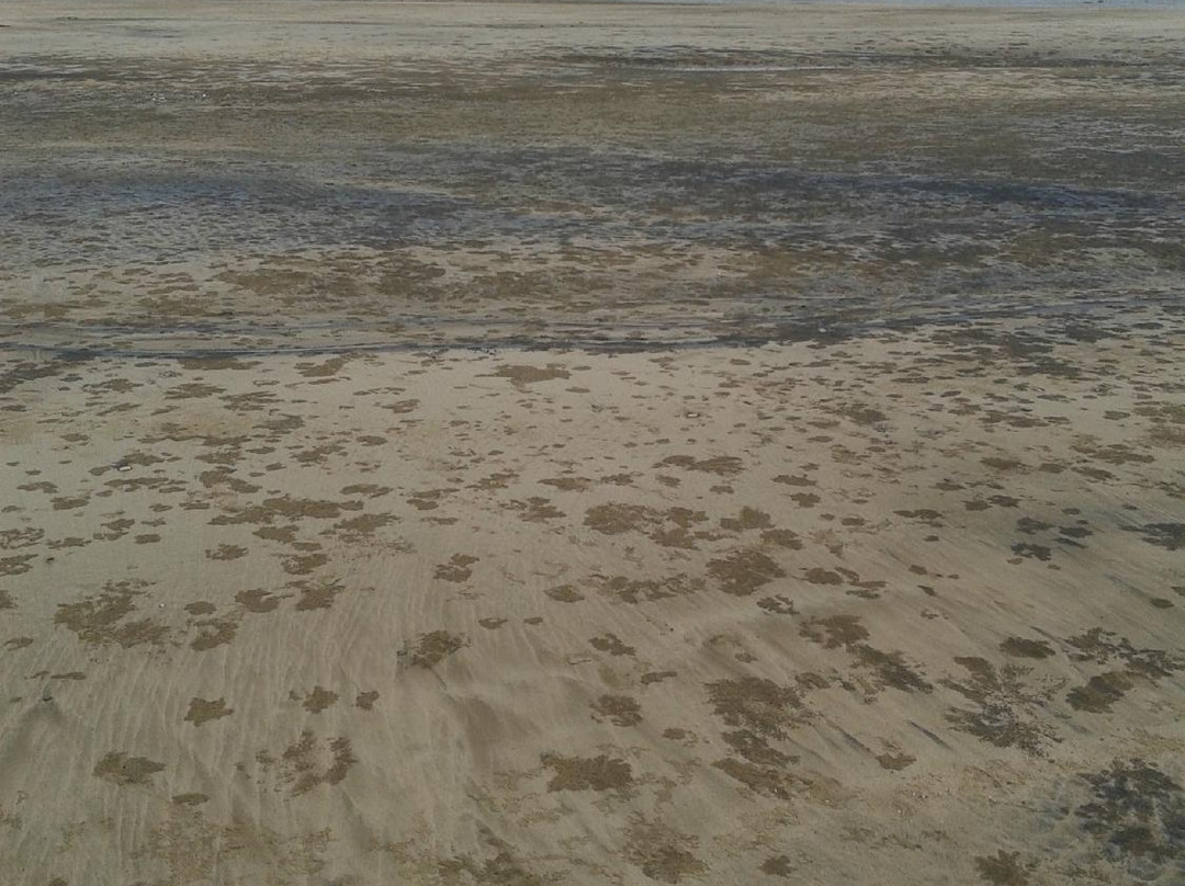 Piram Bet Island景点图片