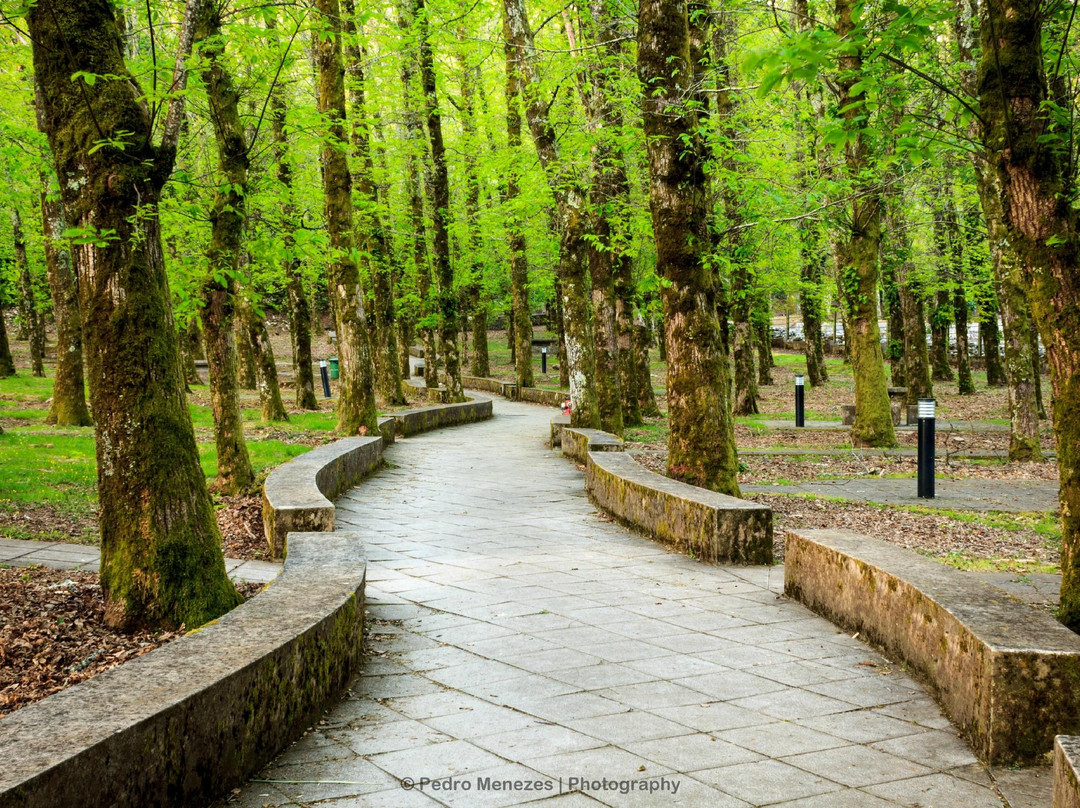 Serra de Montejunto景点图片