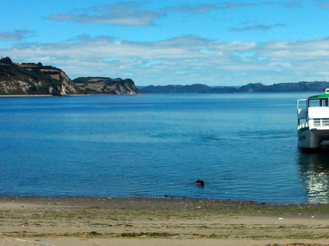 Catamaran Mar y Magia-Castro必去景点