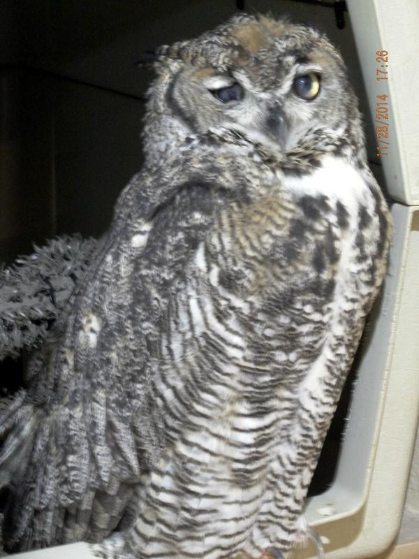 Wild at Heart-洞溪必去景点