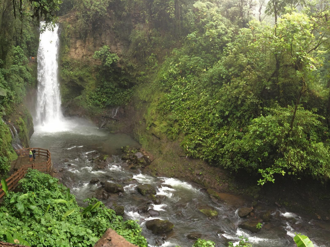 La Paz Waterfall Gardens景点图片