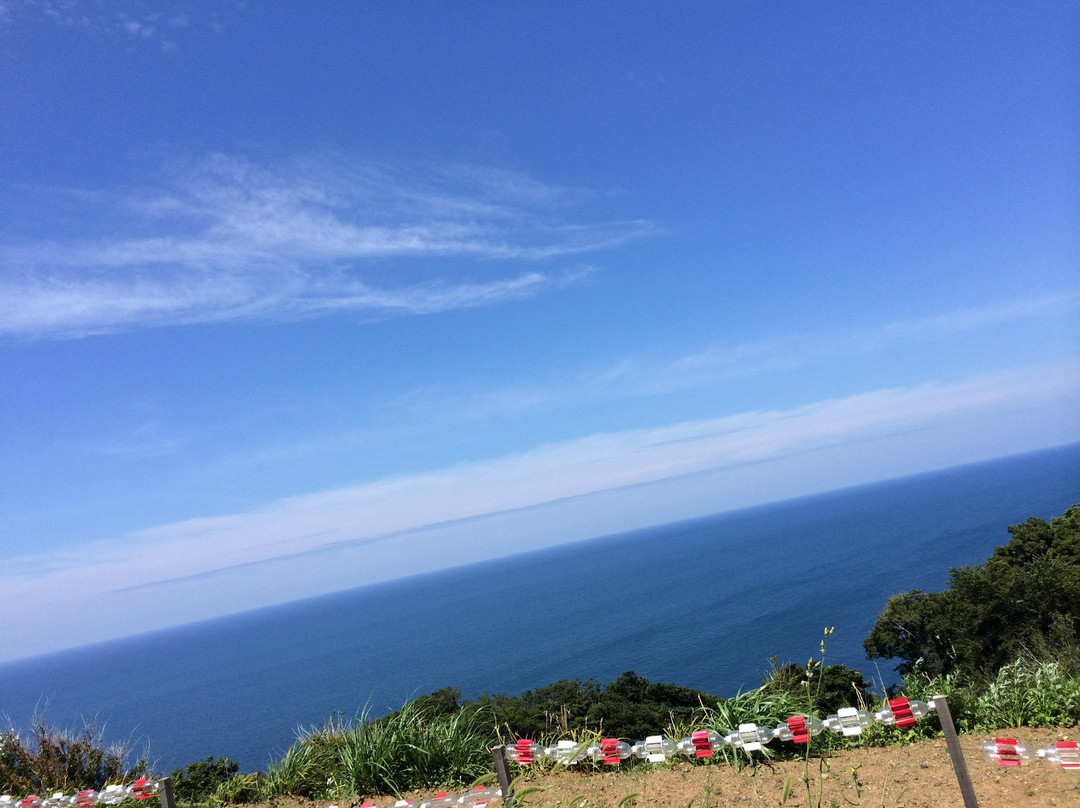 Echizen Misaki Suisen Land景点图片