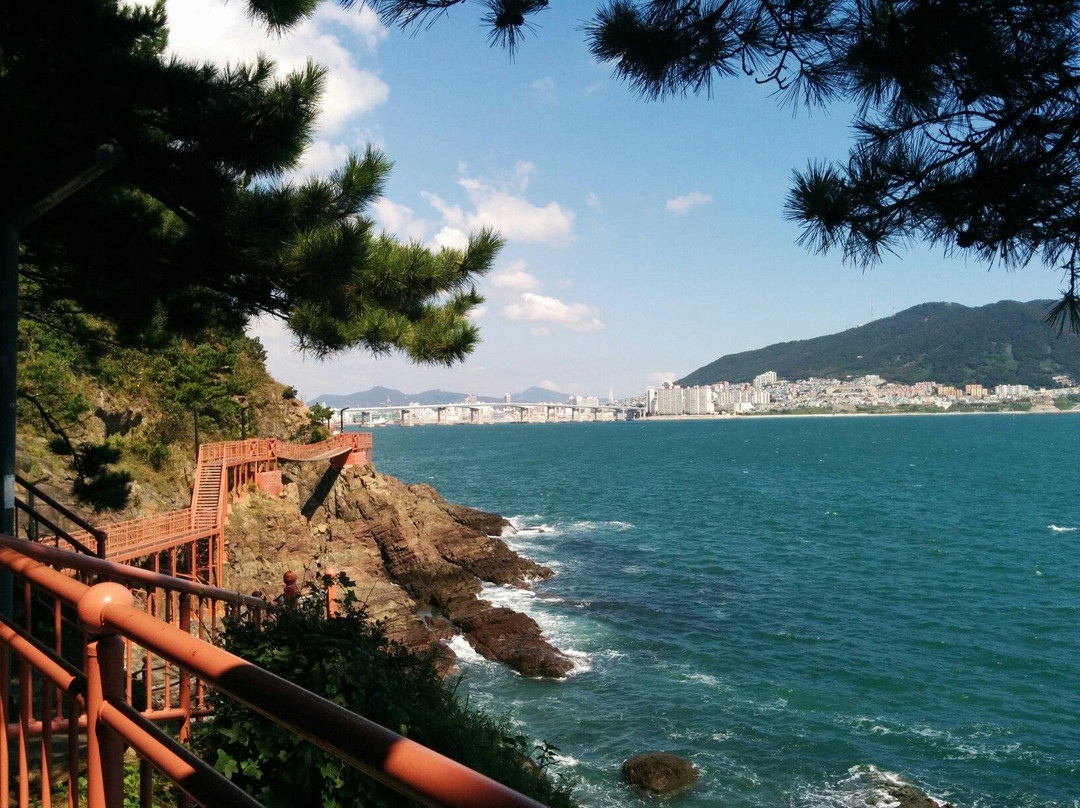 岩南公园-釜山必去景点
