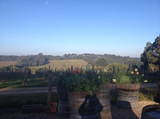 Between The Bays Winery Tours景点图片