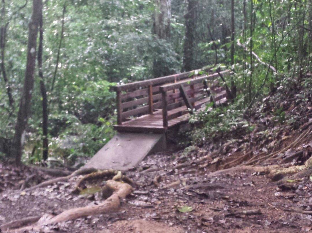 Sentier du Rorota-Remire-Montjoly必去景点